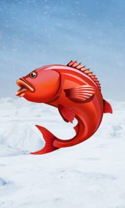 Ice Fishing live game show